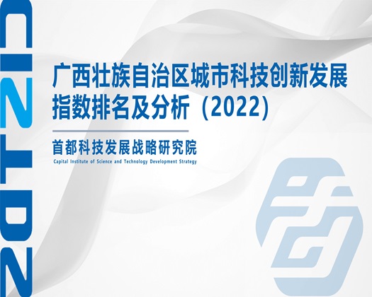 黄色操逼打开【成果发布】广西壮族自治区城市科技创新发展指数排名及分析（2022）